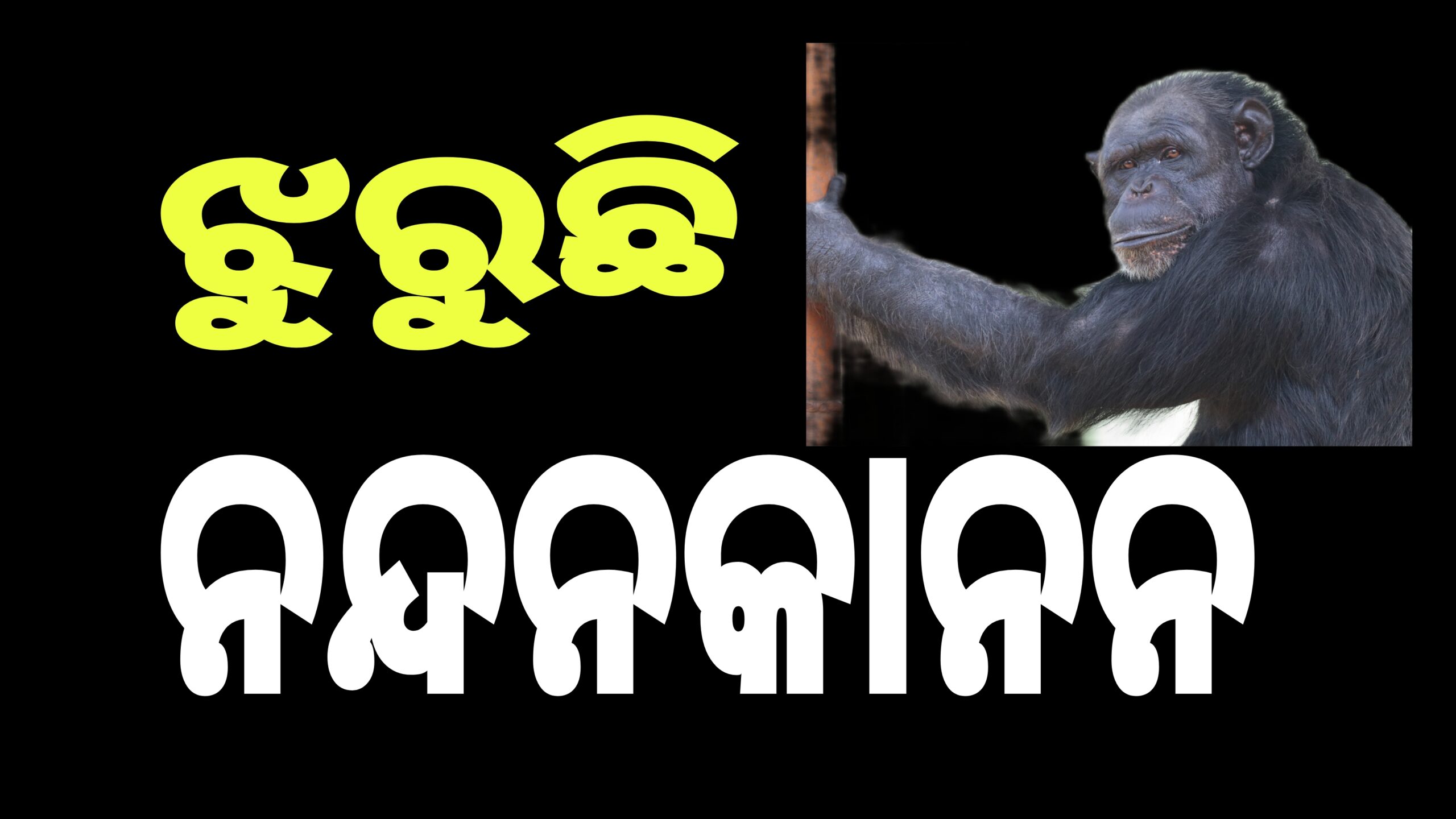 ୩୬ବର୍ଷୀୟ ସିମ୍ପାଞ୍ଜି ଜୁଲୁକୁ ହରାଇ ଝୁରୁଛି ନନ୍ଦନକାନନ, ସିମ୍ପାଞ୍ଜି ସଂଖ୍ୟା ୭କୁ ଖସିଲା